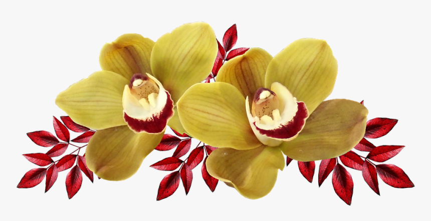 Flowers, Orchids, Yellow, Exotic, Red Leaves, Cut Out - Artificial Flower, HD Png Download, Free Download