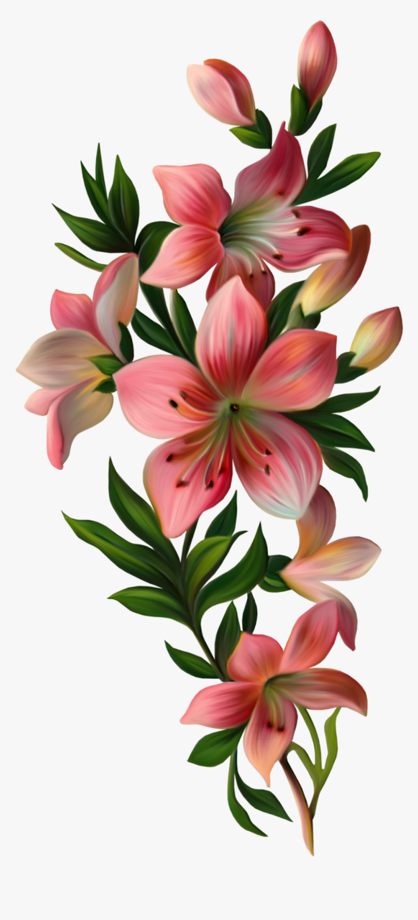 Mq Pink Lily Flowers Flower Garden Nature - Flowers With Leaves Png, Transparent Png, Free Download