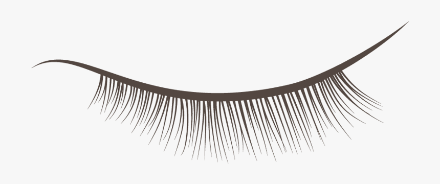 Eyelash Extension Singapore - Eyelash Extensions, HD Png Download, Free Download