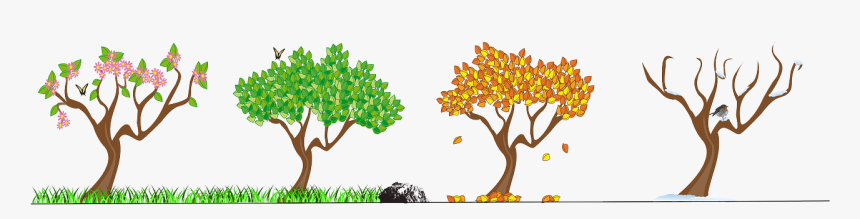 File - Seasons - Seasons Clip Art Free, HD Png Download, Free Download