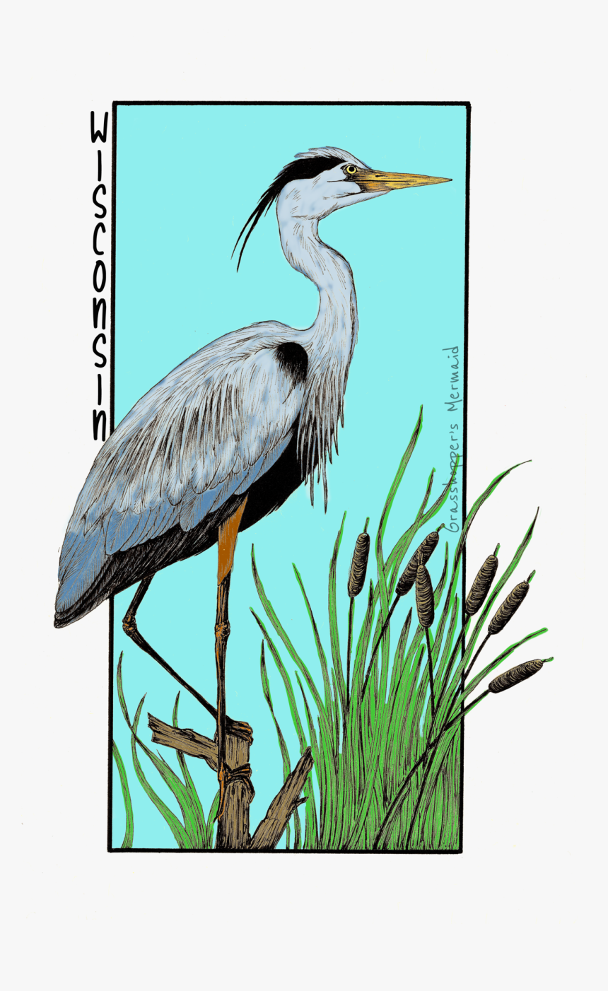 Great Blue Heron, HD Png Download, Free Download