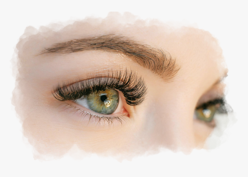 Eyelashes Png Transparent, Png Download, Free Download