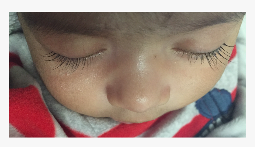 Eyelashes Of A 2 Month Old Baby Boy - 1 Month Old Baby Eyelashes, HD Png Download, Free Download