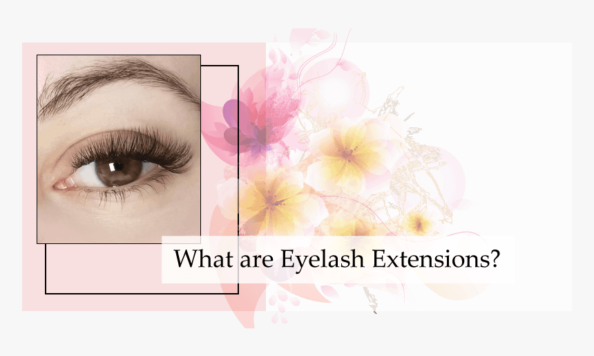 Eyelash Extensions, HD Png Download, Free Download