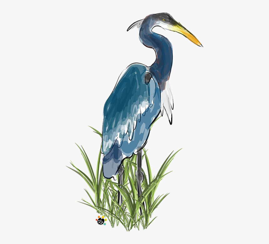 Great Blue Heron, HD Png Download, Free Download