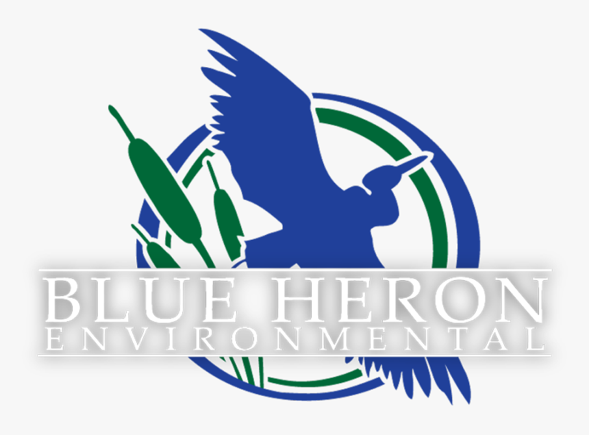 Logo Blue Heron Full W - Blue Heron Environmental Logo, HD Png Download, Free Download