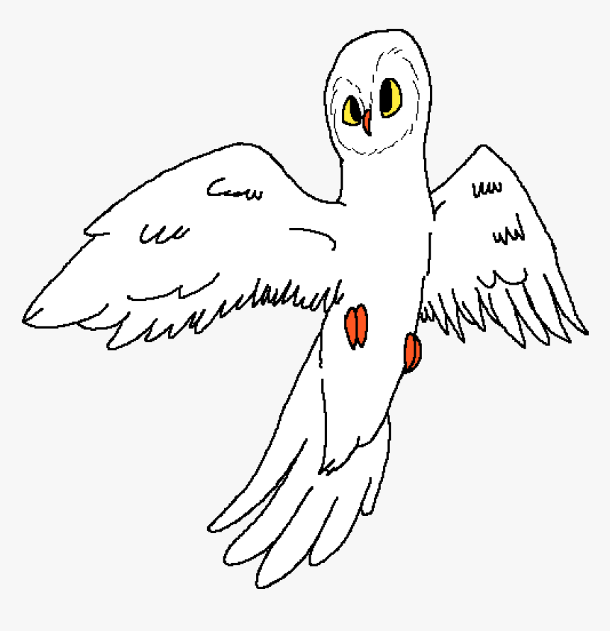 Transparent Snow Owl Png - Eagle, Png Download, Free Download