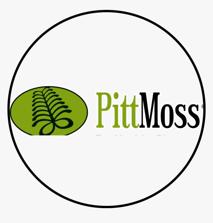 Pitt-moss - Pittmoss, HD Png Download, Free Download