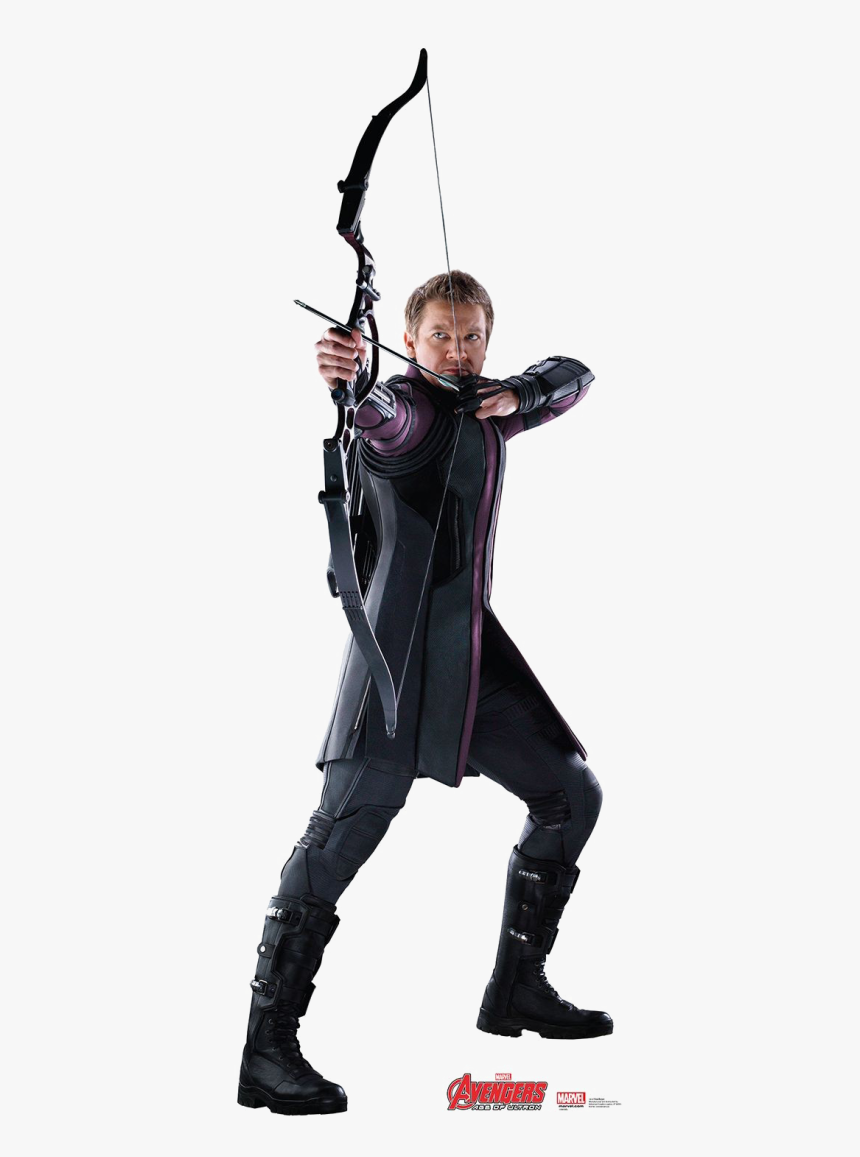 Hawkeye Png, Transparent Png, Free Download