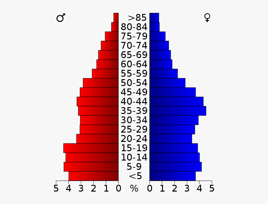 Usa Madera County, California Age Pyramid - Centre County Population Pyramid, HD Png Download, Free Download