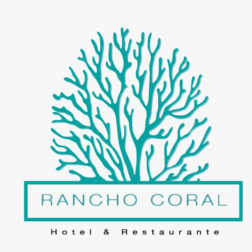 Rancho Coral - Transparent Coral Reef Icon, HD Png Download, Free Download