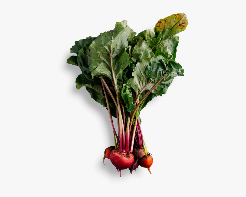 Beet Greens, HD Png Download, Free Download