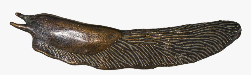 Slug Png - Bronze Sculpture, Transparent Png, Free Download