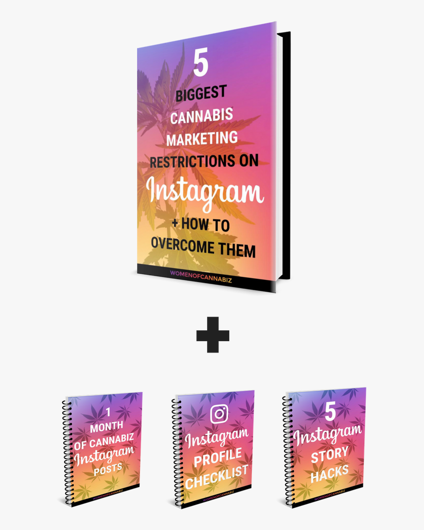 Instagram Png , Png Download - Flyer, Transparent Png, Free Download