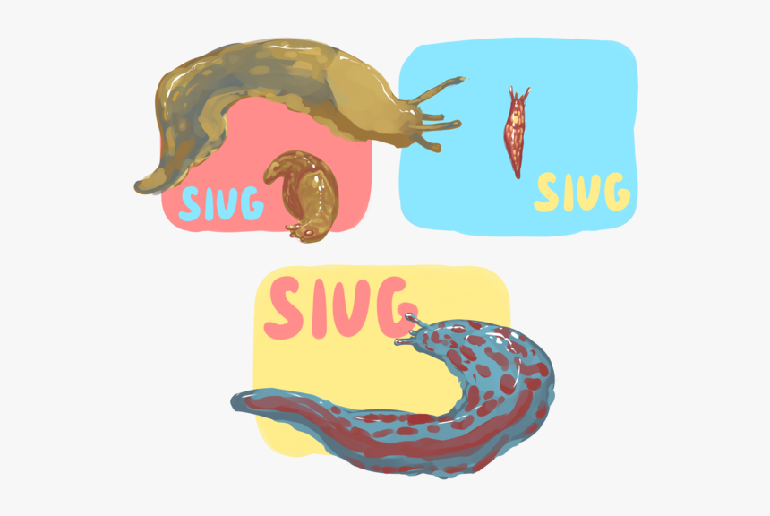 Slug - Illustration, HD Png Download, Free Download