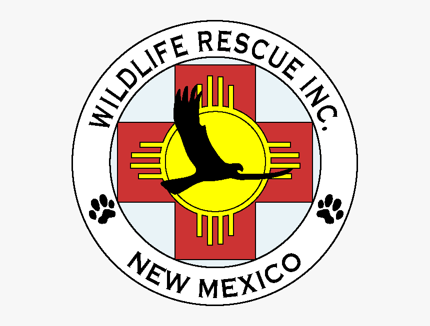 Wildlife Rescue, Inc - Wildlife Rescue Of New Mexico, HD Png Download, Free Download