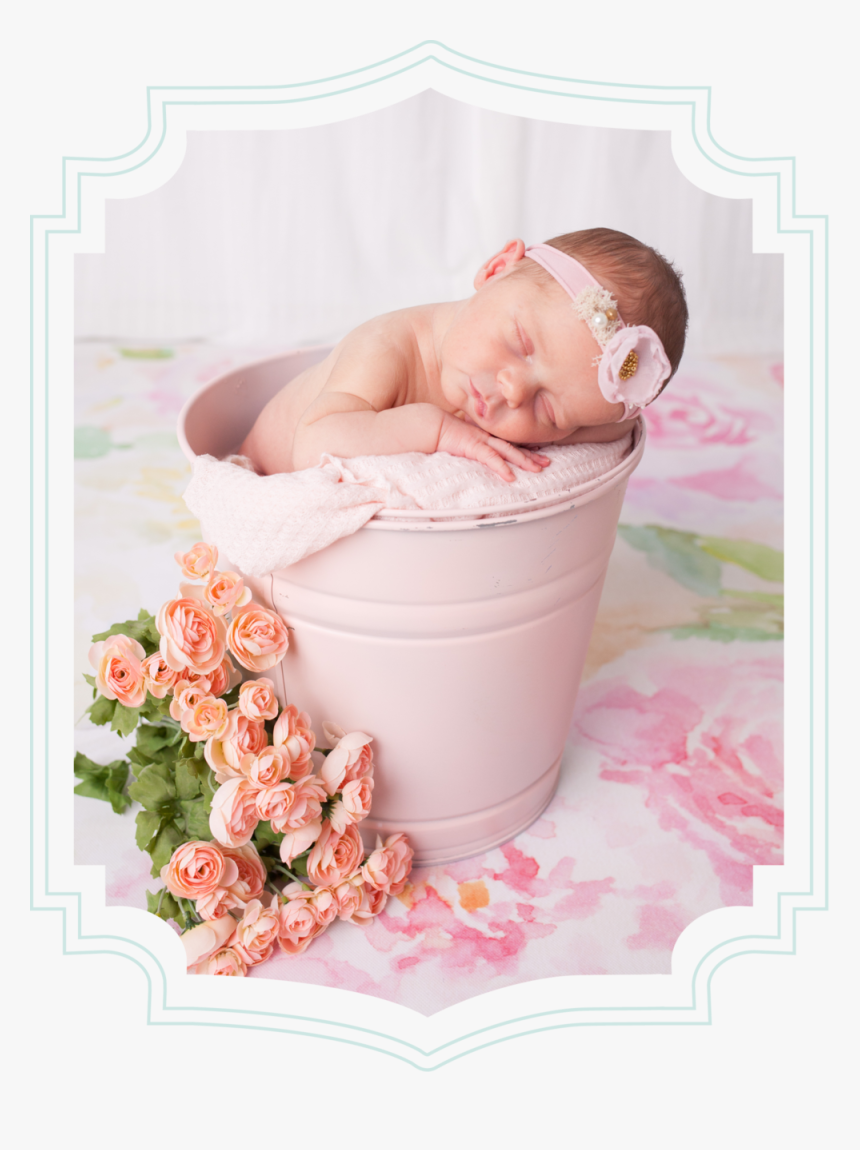 Newborn Charlottephotographer About-frame - Baby, HD Png Download, Free Download