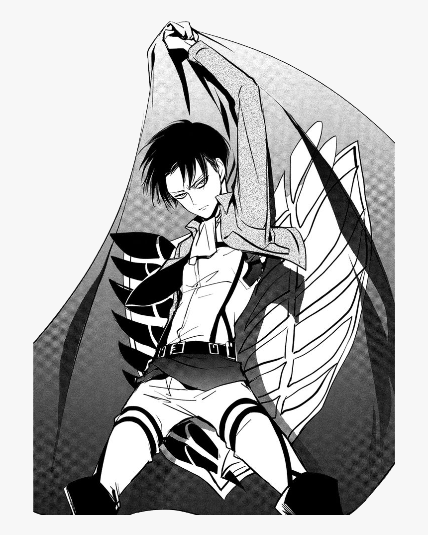 Levi Manga Attack On Titan , Png Download - Levi Manga Attack On Titan, Transparent Png, Free Download