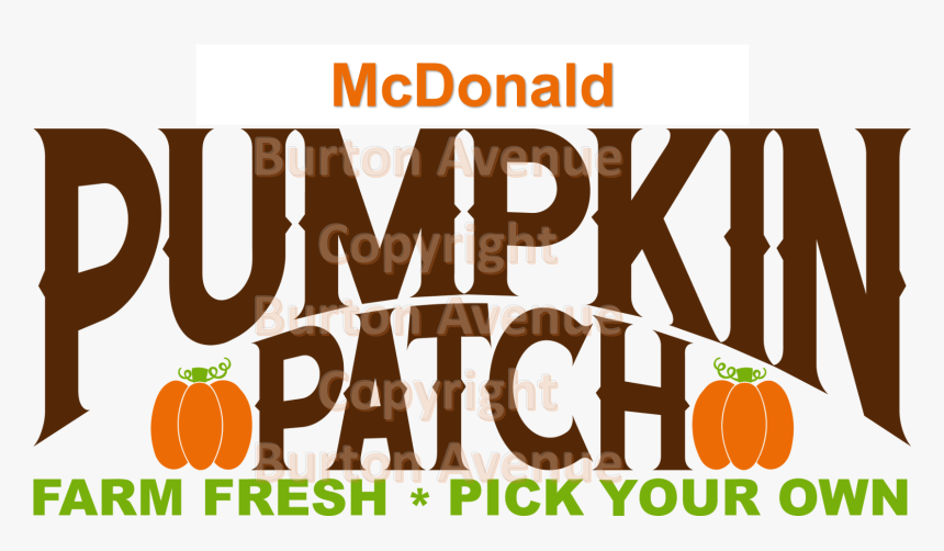 Pumpkin Patch - Pumpkin, HD Png Download, Free Download