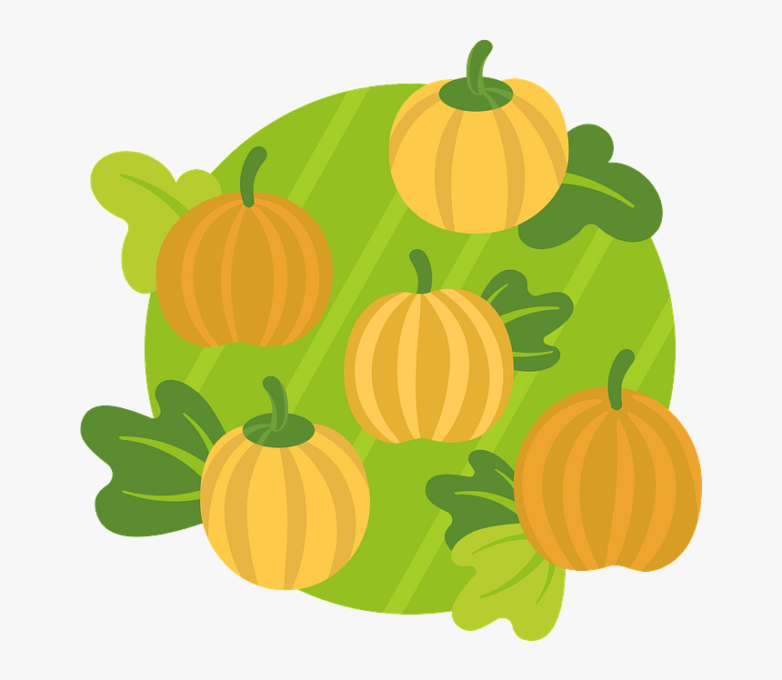 Pumpkin, HD Png Download, Free Download