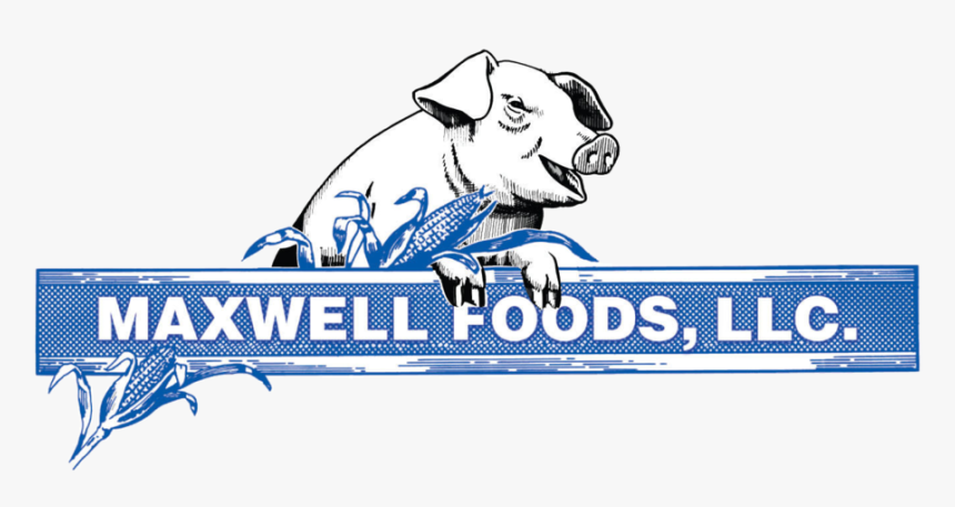 Maxwell Foods Logo Llc Gr - Domestic Pig, HD Png Download, Free Download