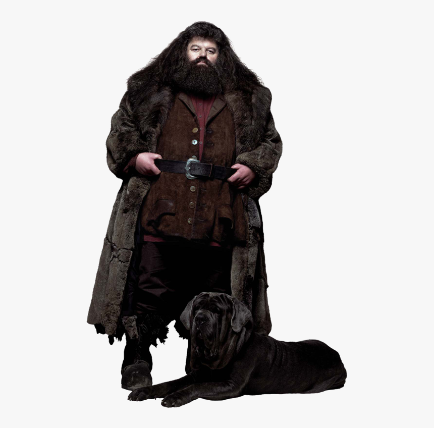 04hagrid Ca Hpe6 - Happy Birthday Harry Potter Hagrid, HD Png Download, Free Download