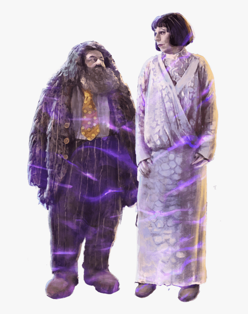 Hagrid And Madame Maxime In Their Yule Ball Outfits - Harry Potter Bal De Noel, HD Png Download, Free Download