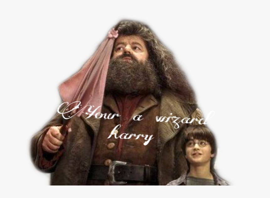 Hagrids Pink Umbrella - Harry Potter 1 With Hagrid, HD Png Download, Free Download