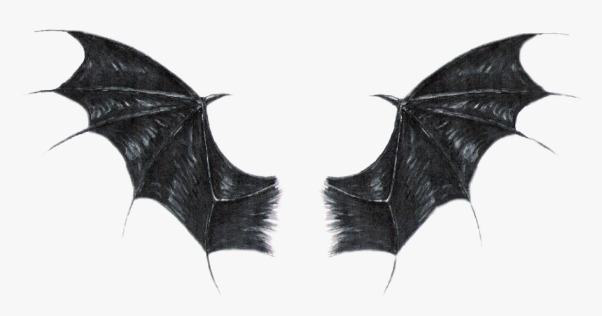 #batwings - Lucifer Drawing Devil Wings, HD Png Download, Free Download