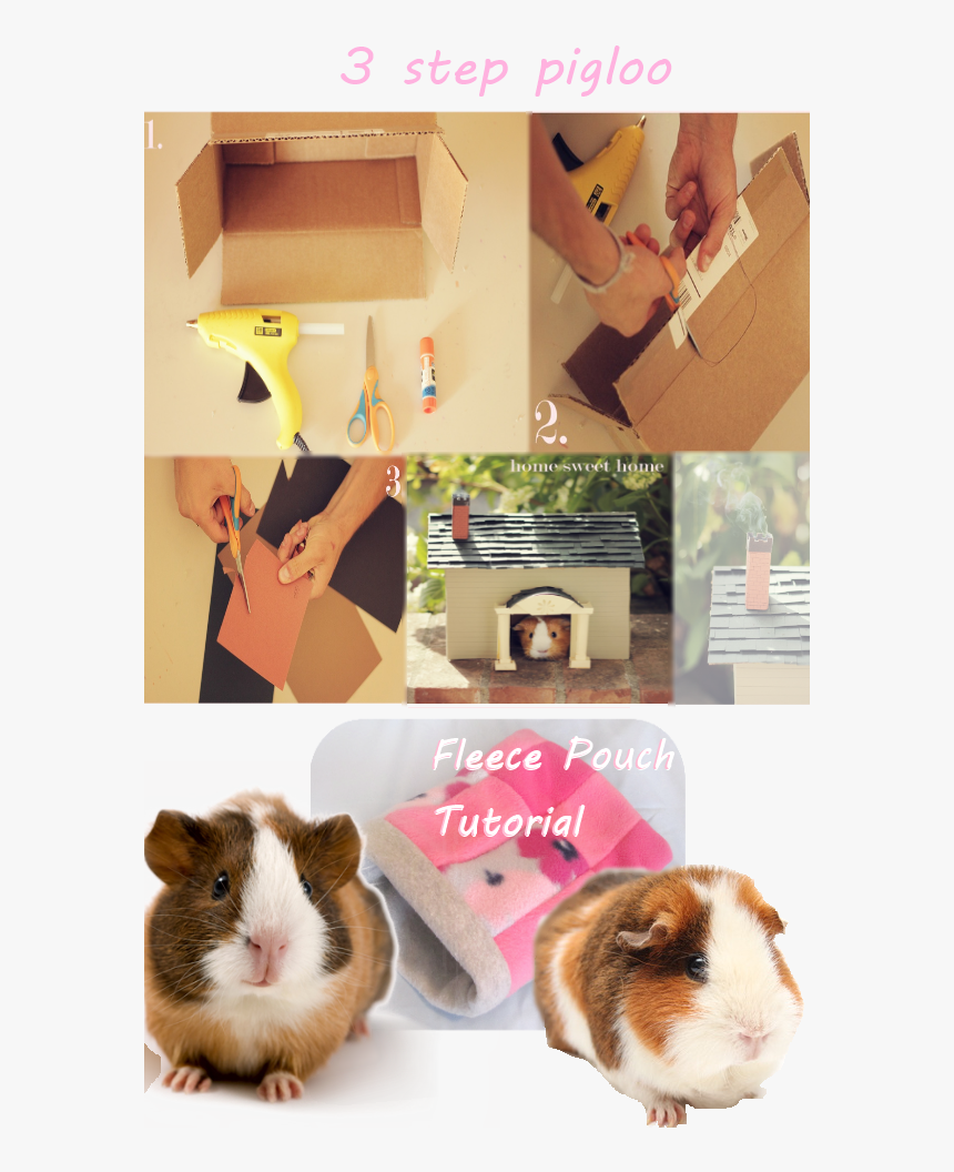 What Guinea Pig Wouldn"t Want Their Very Own Homemade - Guinea Pig, HD Png Download, Free Download