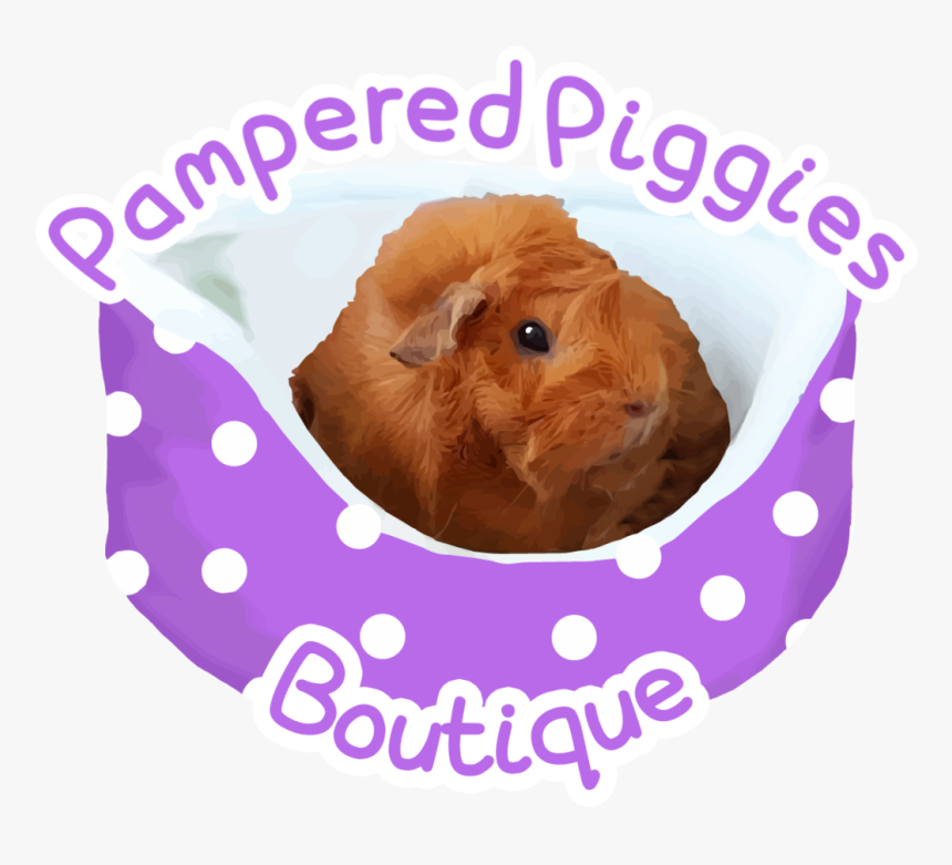 Guinea Pig, HD Png Download, Free Download