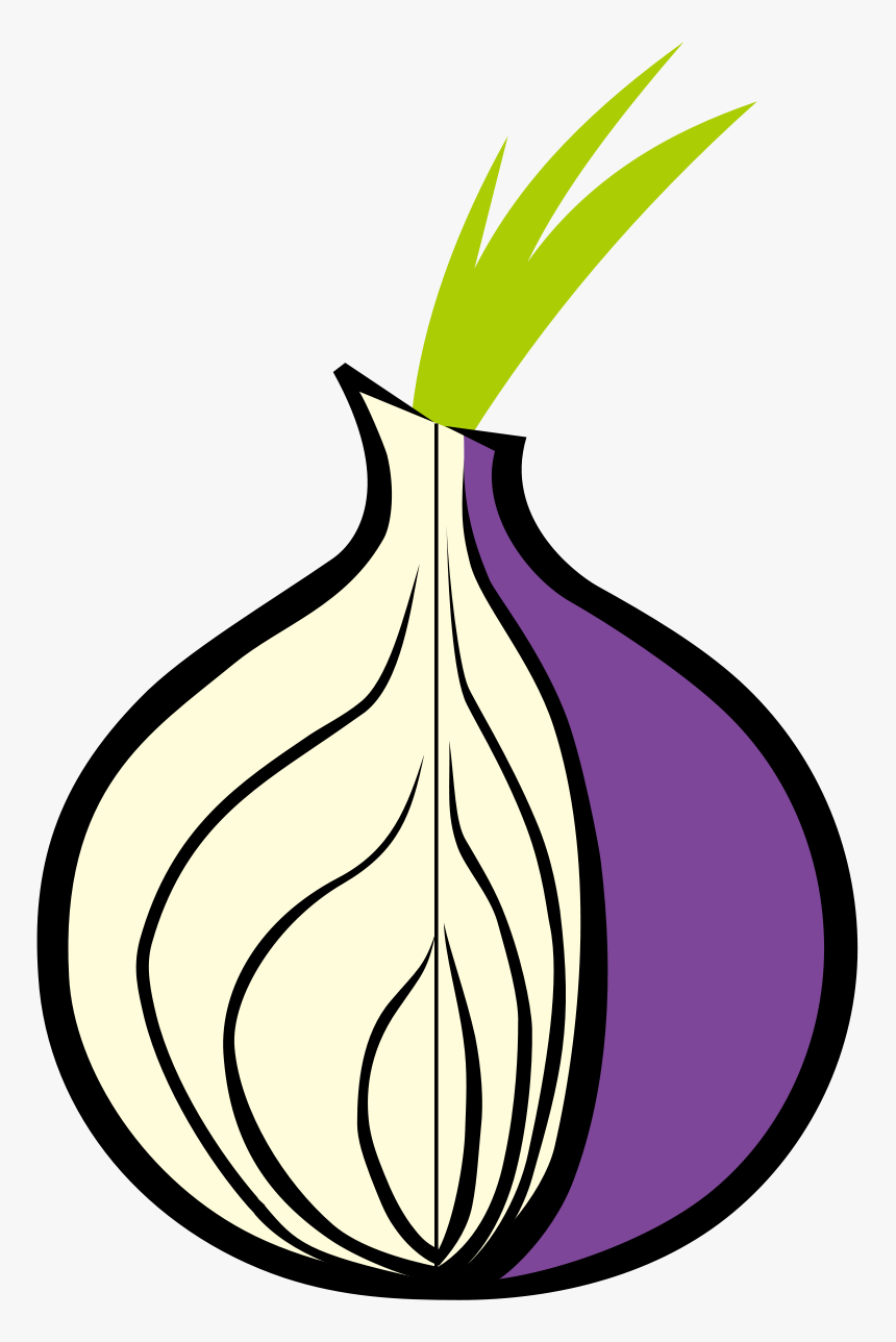 Onion Tor, HD Png Download, Free Download