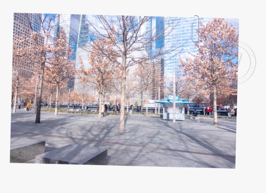 One World Trade Center Memorial Nyc New York Nondys - Tree, HD Png Download, Free Download