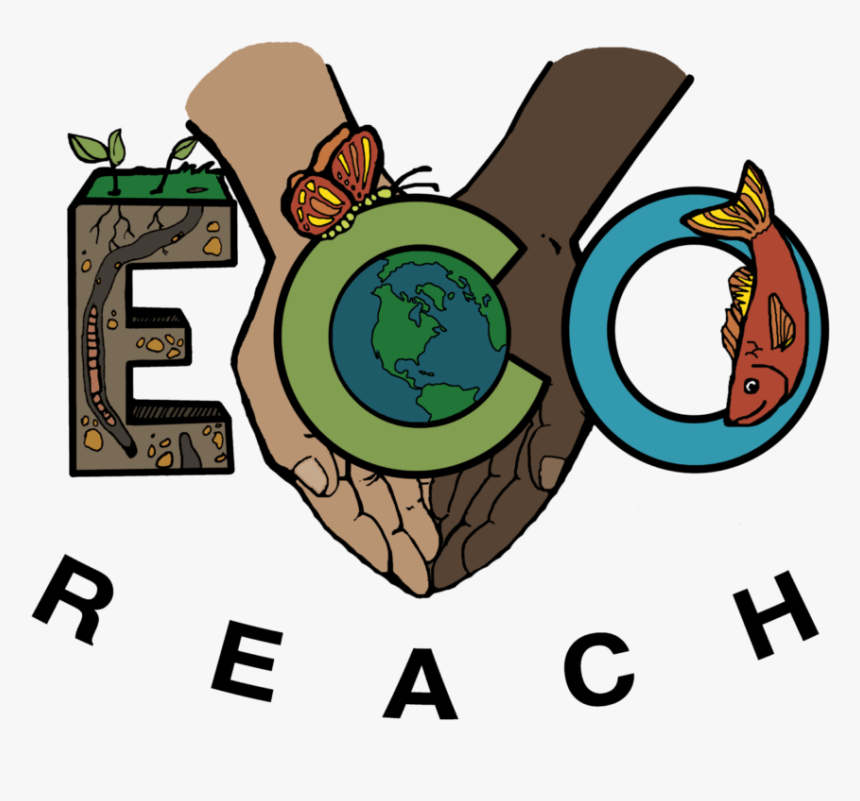 Logo Ecoreach - Cartoon, HD Png Download, Free Download
