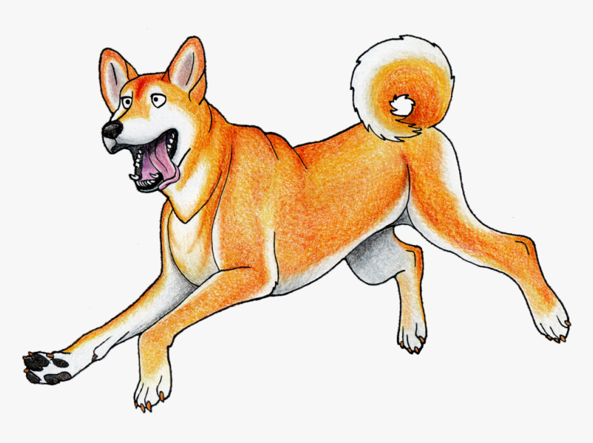 Shibe Drawing Pencil - Cartoon New Guinea Singing Dog, HD Png Download, Free Download