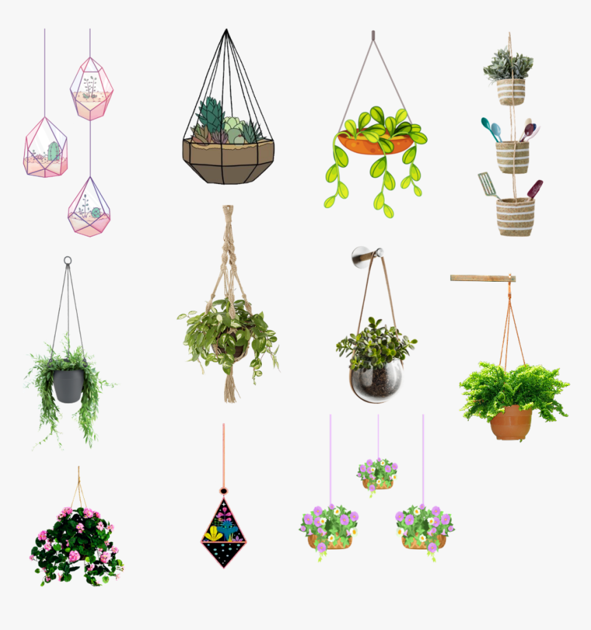 #hangingplants #hanging #plants - Illustration, HD Png Download, Free Download