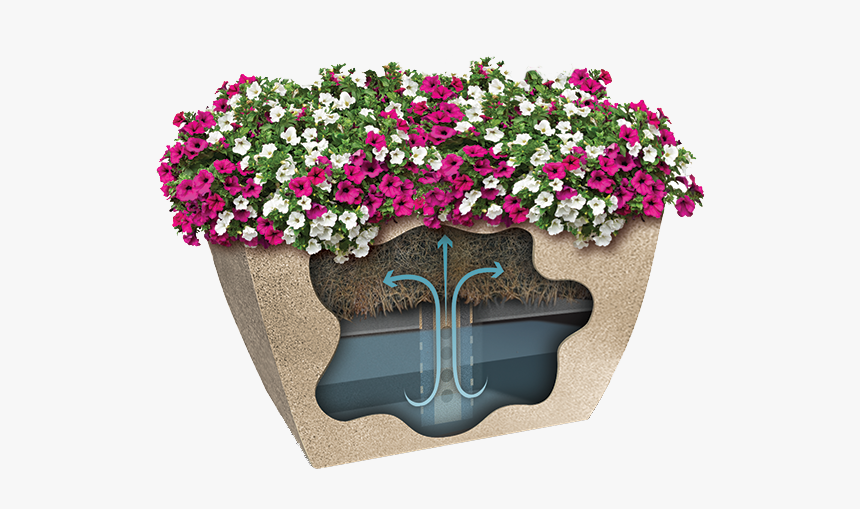 Flowerpot, HD Png Download - kindpng