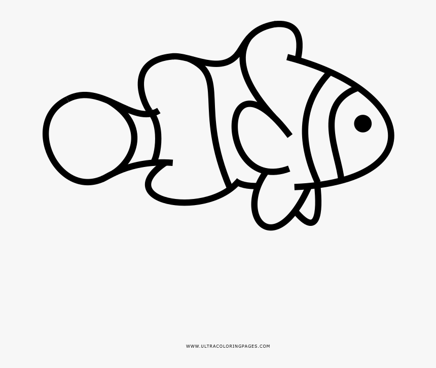 Clownfish Coloring Page - Drawing, HD Png Download, Free Download