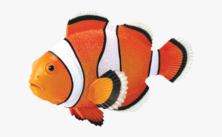 Fish 4d, HD Png Download, Free Download