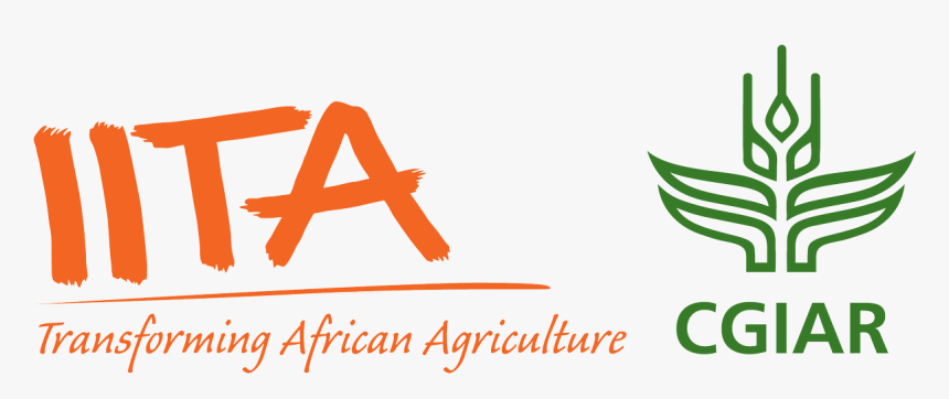 Iita Cgiar, HD Png Download, Free Download