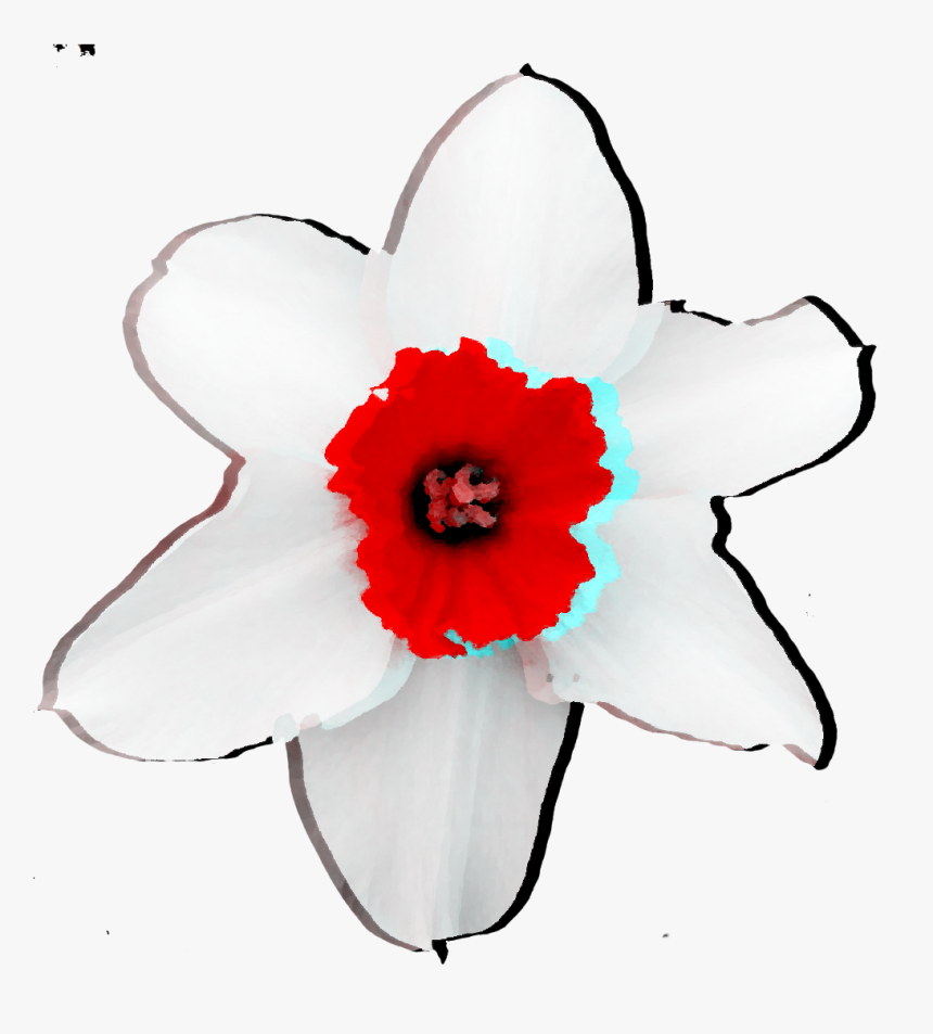 Flower Holga White Red Abstract Freetoedit - Artificial Flower, HD Png Download, Free Download