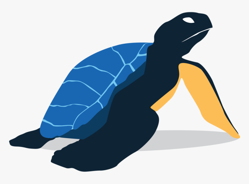 Tortoise, HD Png Download, Free Download