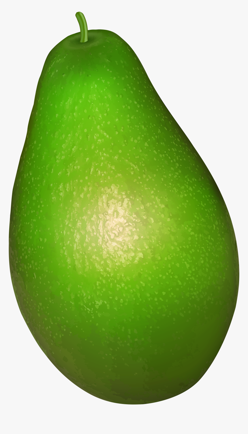 Avocado Clipart Full - Clip Art Of Avocado, HD Png Download, Free Download