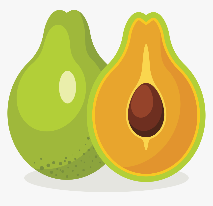 Avocado Tree Clipart Png Library Download Clipart, Transparent Png, Free Download