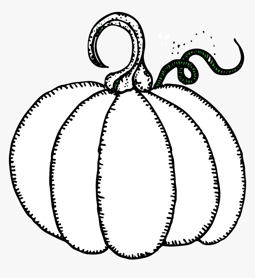 Pumpkin Outline Clip Art - Pumpkin Clip Art, HD Png Download, Free Download