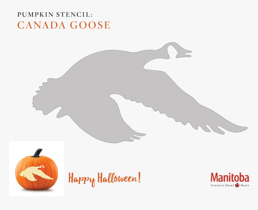 Canadian Goose Pumpkin Carving Stencil - Goose Pumpkin Carving Patterns, HD Png Download, Free Download