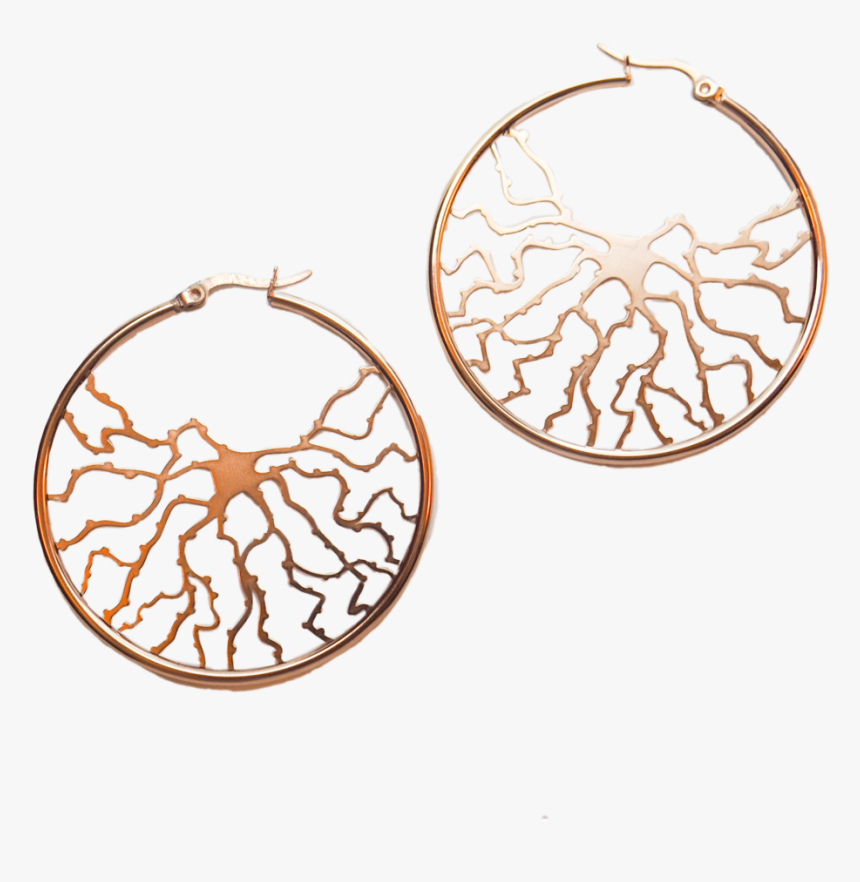 Neuron Hoop Earrings - Bodhicariya Senior Secondary School, HD Png Download, Free Download