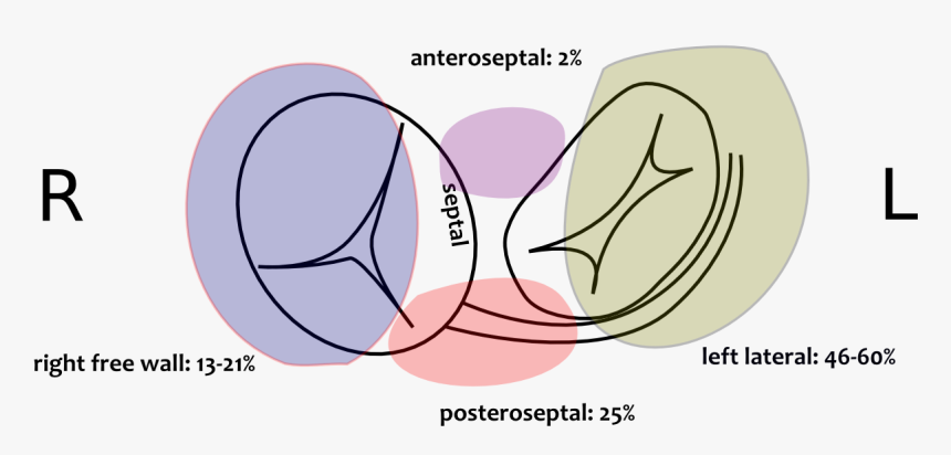 Diagram, HD Png Download, Free Download