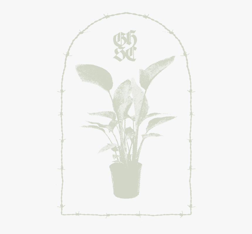 Web Plant Barb@4x - Floral Design, HD Png Download, Free Download