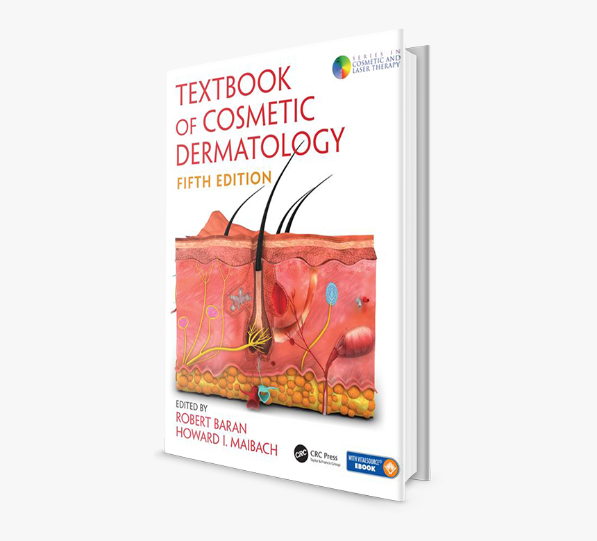 Skin Anatomy, HD Png Download, Free Download